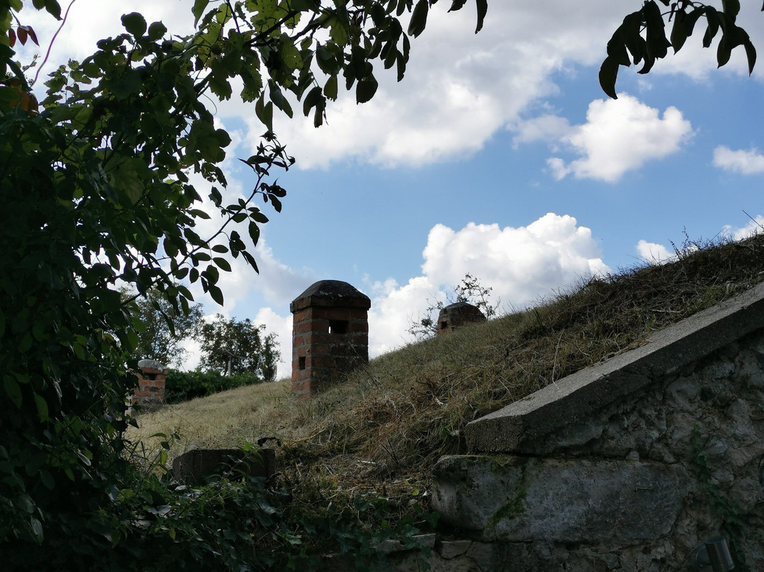 Kellergasse Purbach-Purbach am Neusiedlersee必去景点