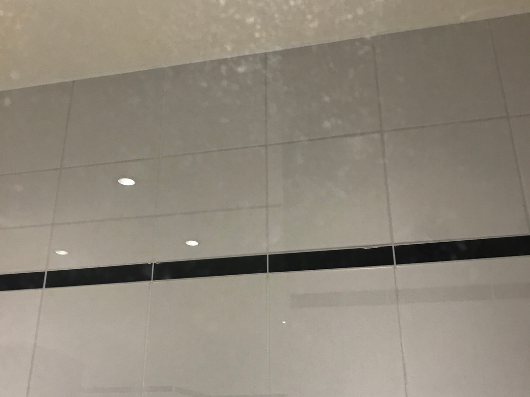兰茨堡郁金香酒店主图
