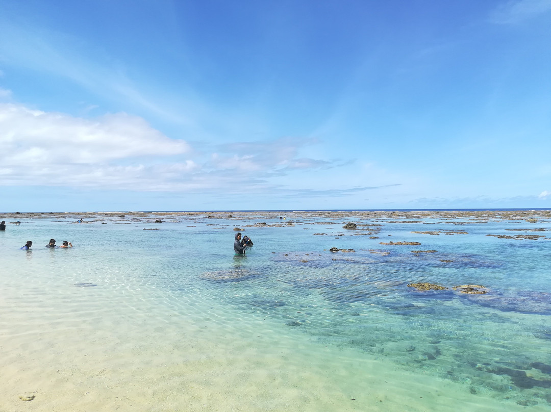 Yoshino Kaigan Beach景点图片