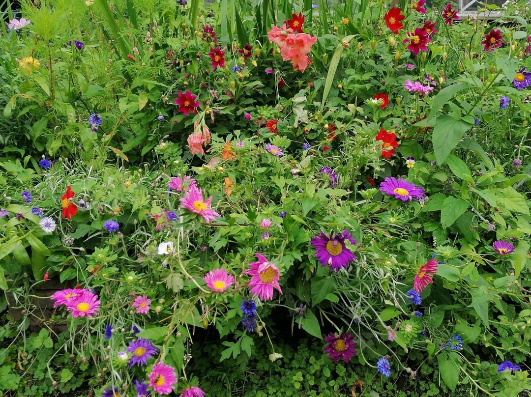 St Benet's Abbey主图