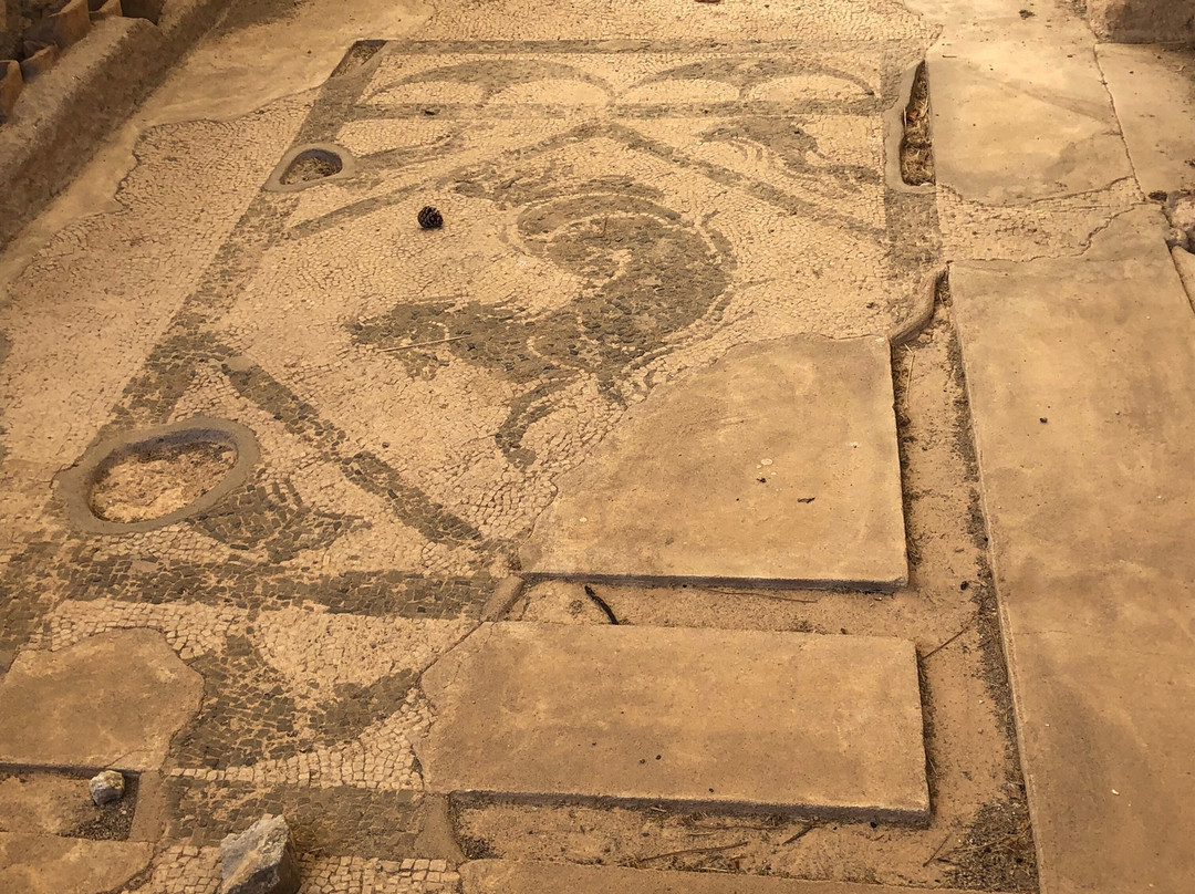 Sito archeologico di Tindari (Patti, Me)景点图片