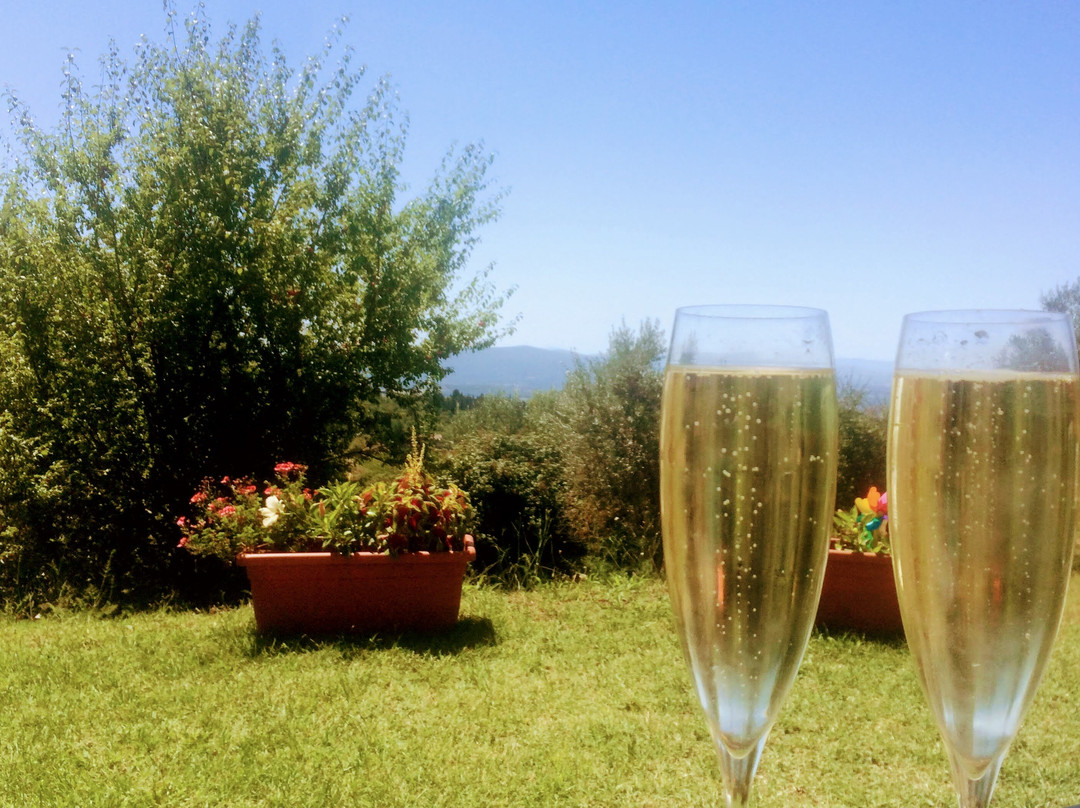 Agriturismo Villa Godenano - Pool&relax主图