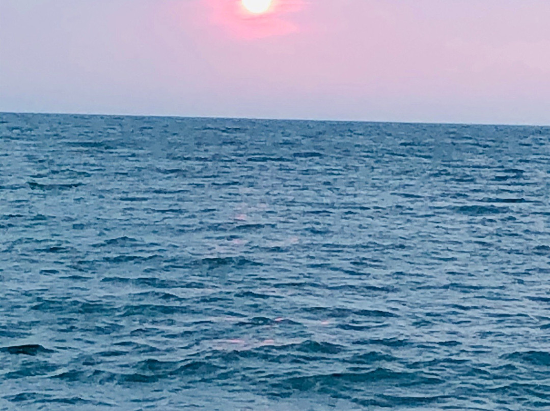 Bruce Peninsula Boat Tours景点图片