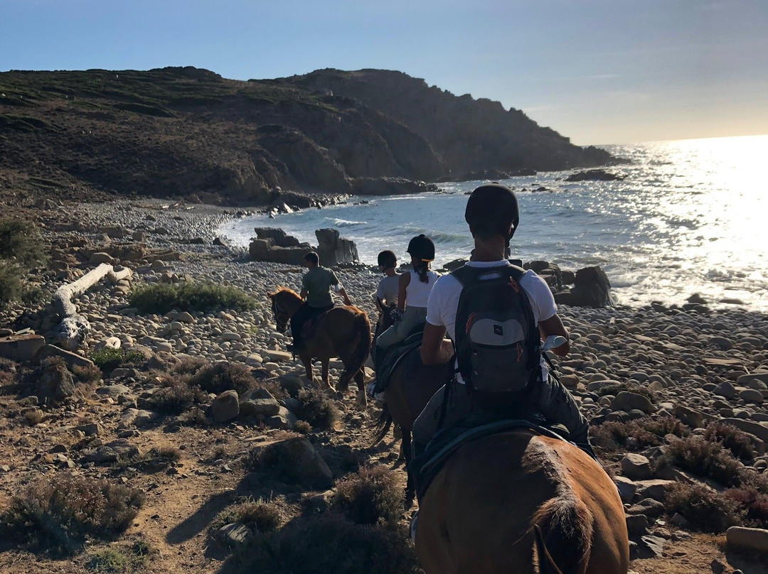 Ranch 4 Mori-Buggerru必去景点