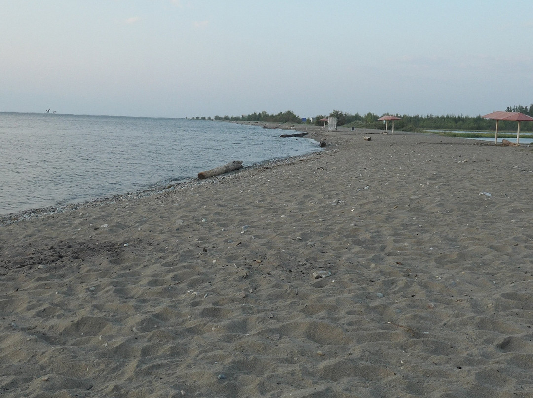 Gorodskoi Plyazh景点图片