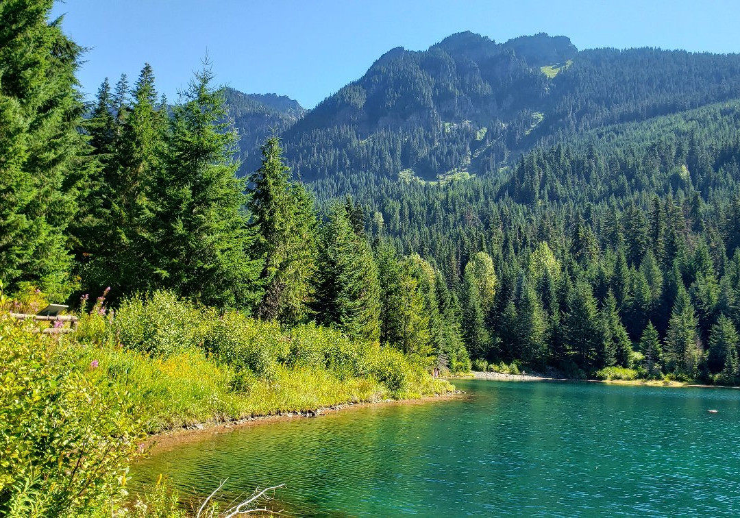 Gold Creek Pond Trail-斯诺夸尔米必去景点
