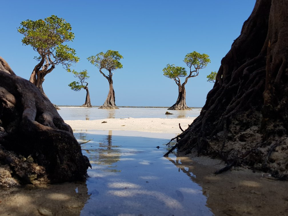 Walakiri Beach景点图片