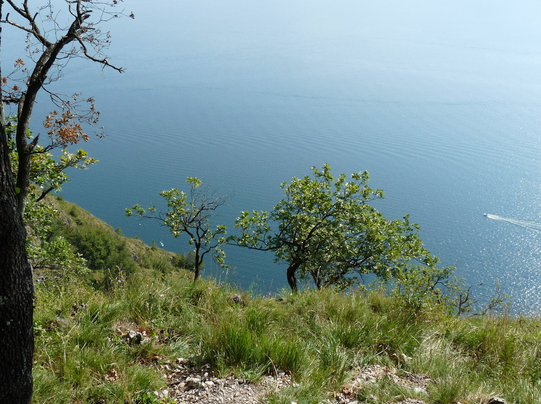 Santuario Della Madonna delle Grazie di San Martino-Griante必去景点