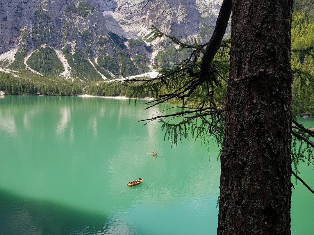 Parco Naturale di Sennes Fanes-Braies必去景点