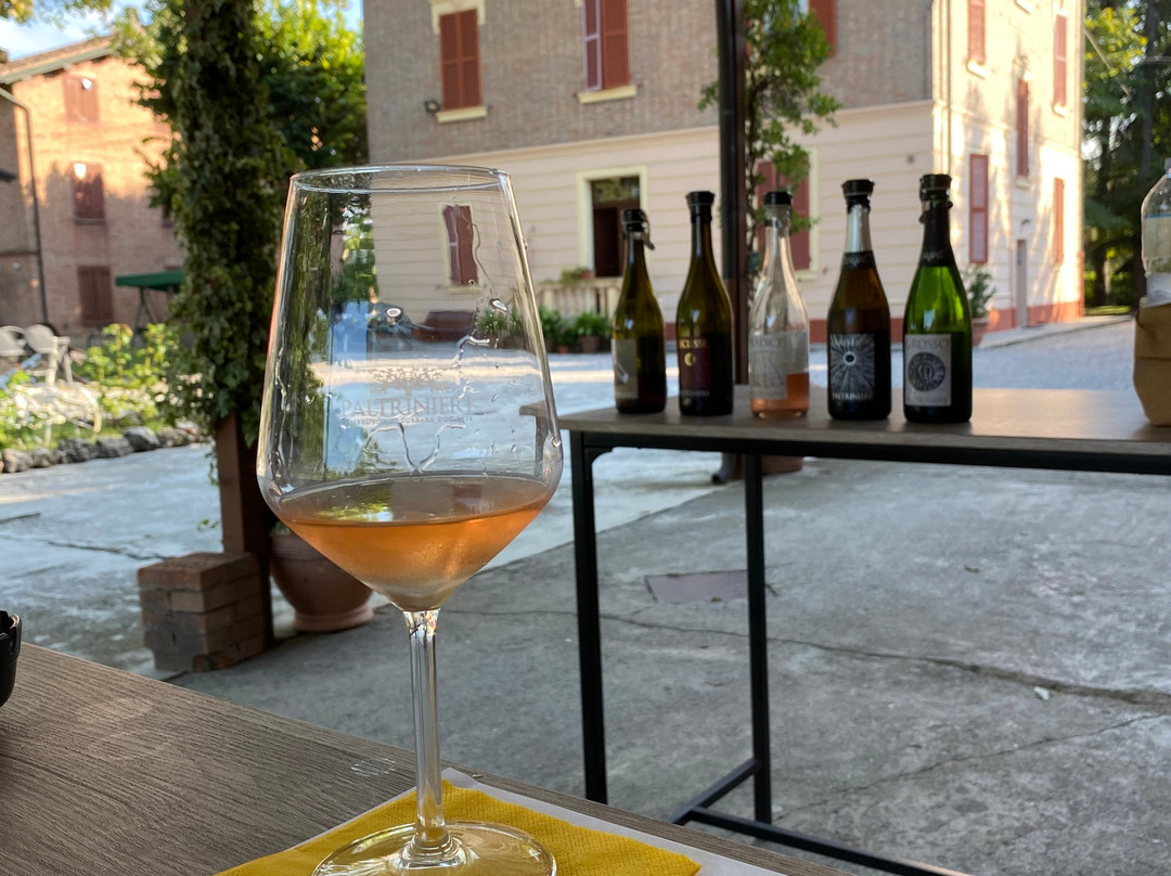 Cantina Paltrinieri景点图片