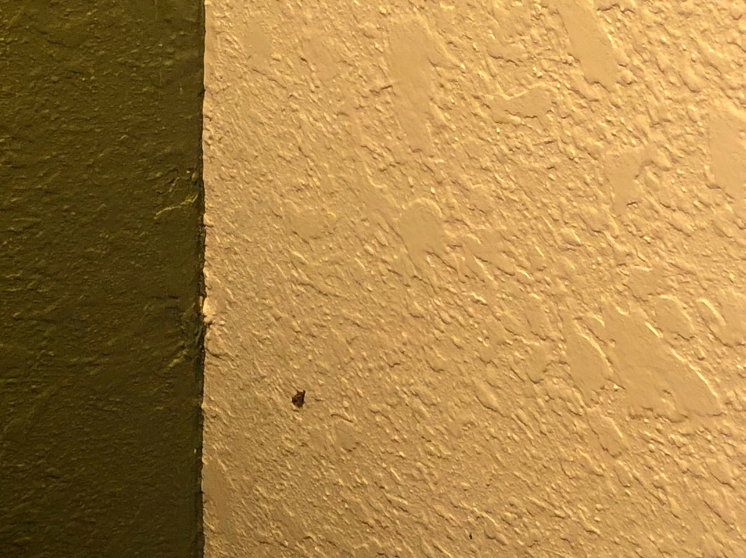 Quality Inn Fort Campbell主图