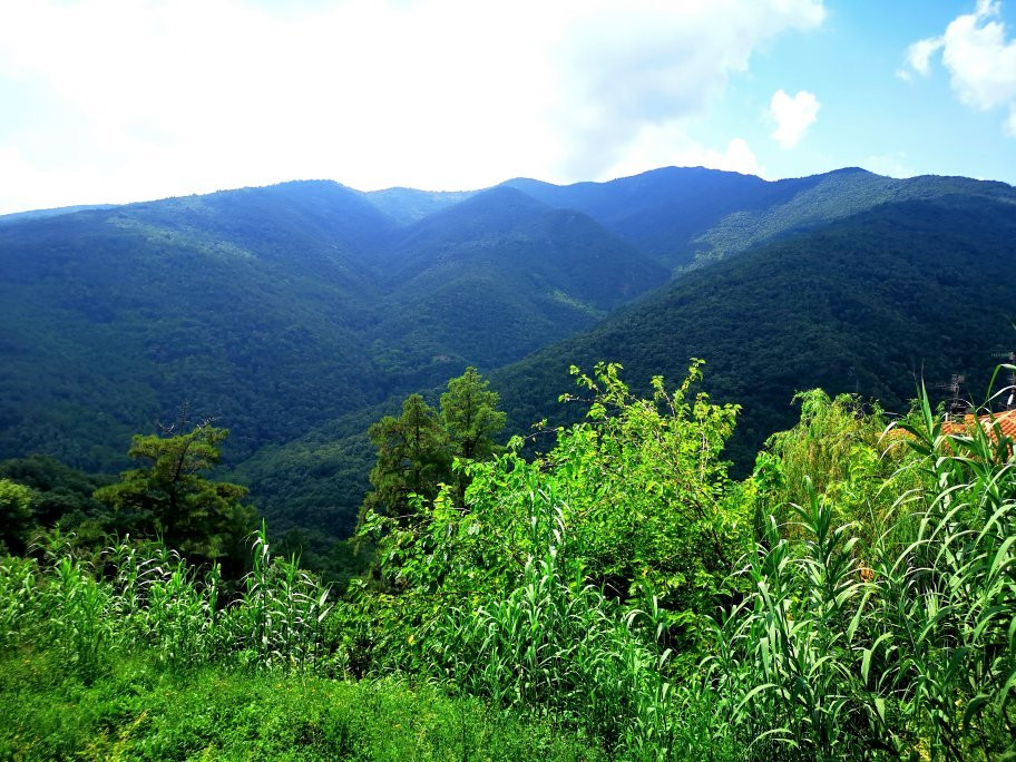 Parc Natural del Montseny景点图片