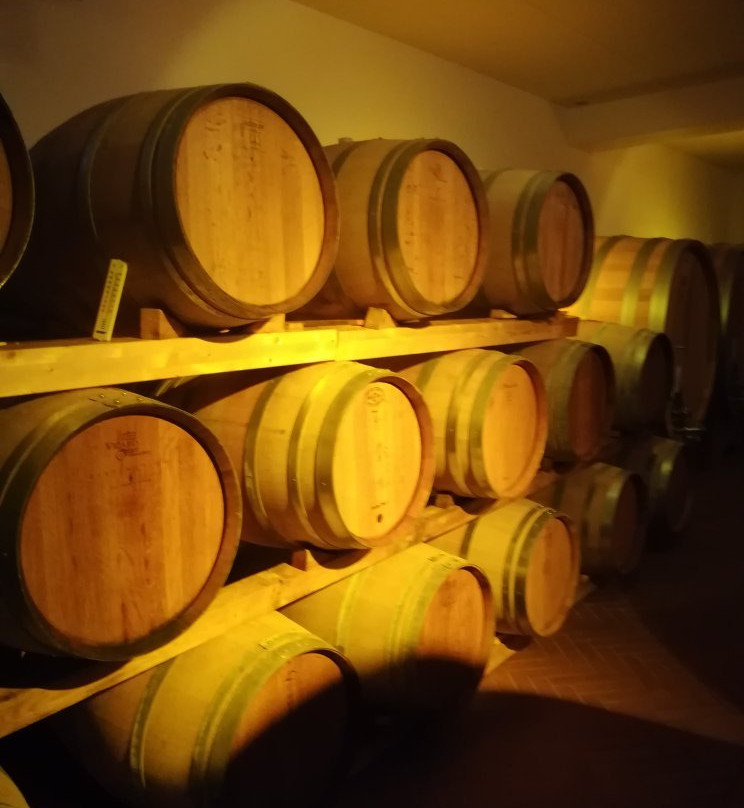 Cantina Josetta Saffirio-蒙福特-达尔巴必去景点