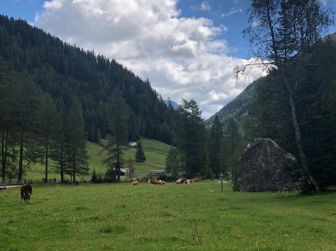 Naturpark Riedingtal-Zederhaus必去景点