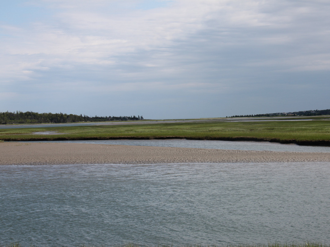 Salt Marsh Trail-Cole Harbour必去景点