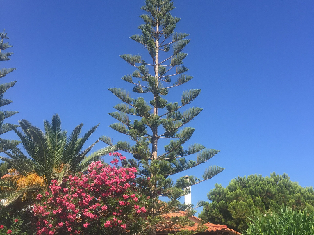 Beach House I & II主图