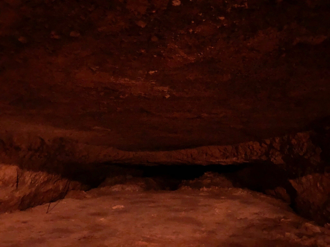 Rouffignac Cave景点图片