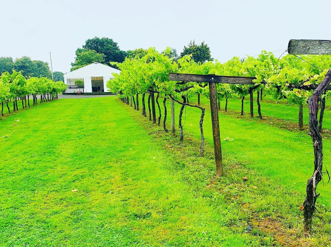 The Tasting Lodge @ Llanerch Vineyard景点图片