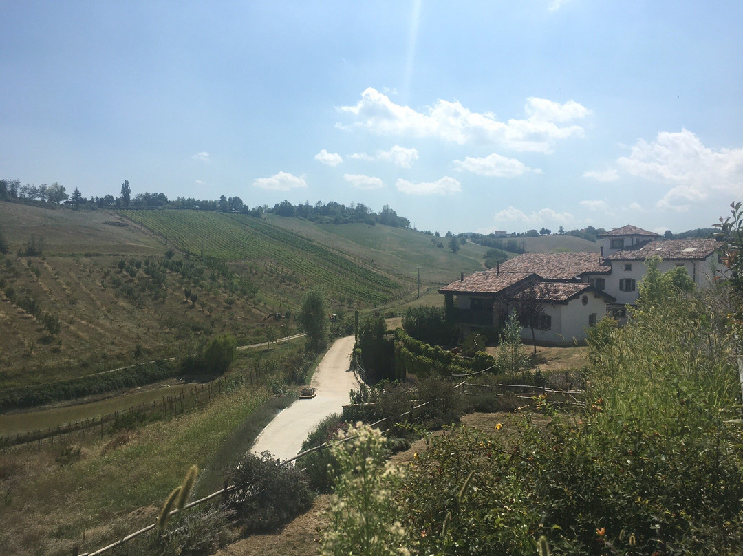 Agriturismo Alba Del Borgo主图