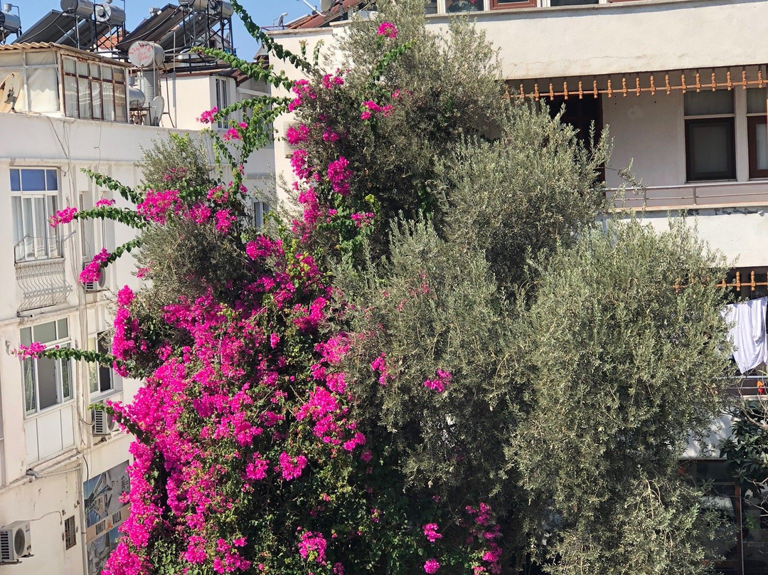 Kasmahal Hotel主图