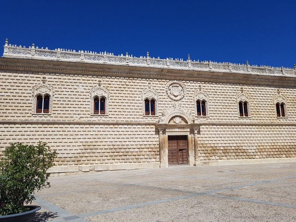 Palacio De Los Duques De Medinacelli景点图片