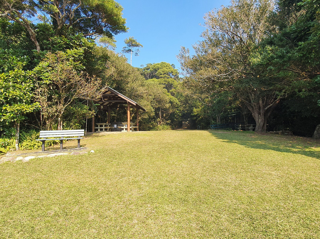 McClellands Lookout