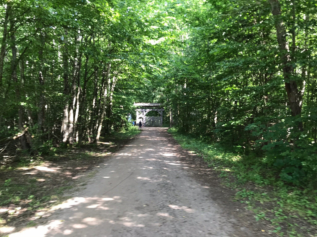 Bialowieza National Park Tours景点图片
