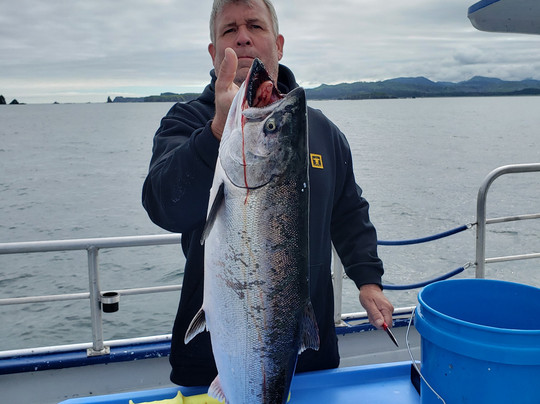 Kodiak Island Adventures-Kodiak必去景点