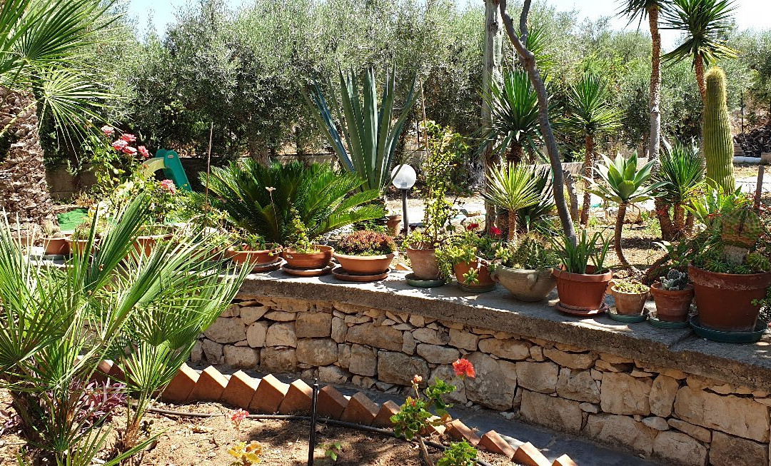 Giardino a mare主图