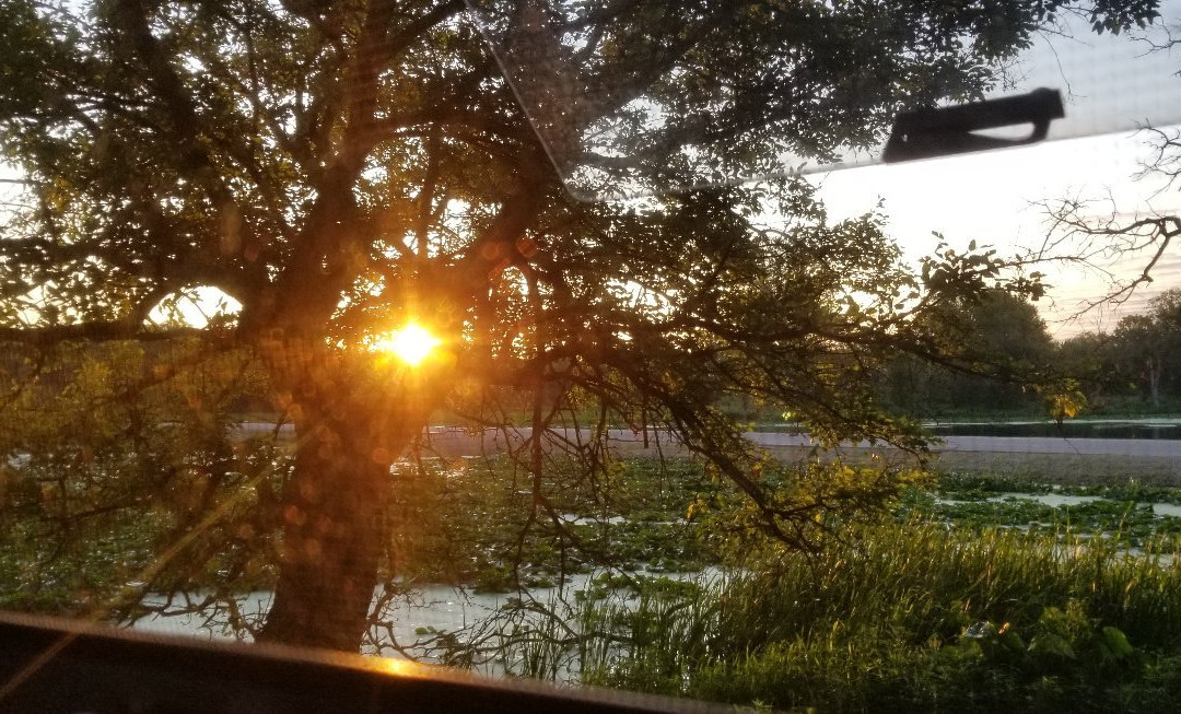 Thomson Causeway Recreation Area-Thomson必去景点