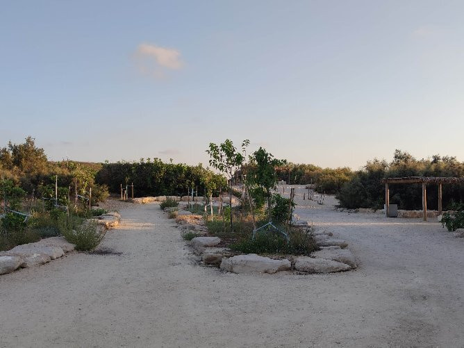 Ashdod Yam Park-阿什杜德必去景点