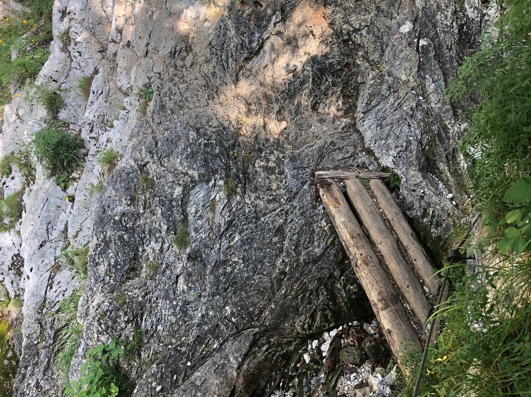 The Source of Soča River景点图片