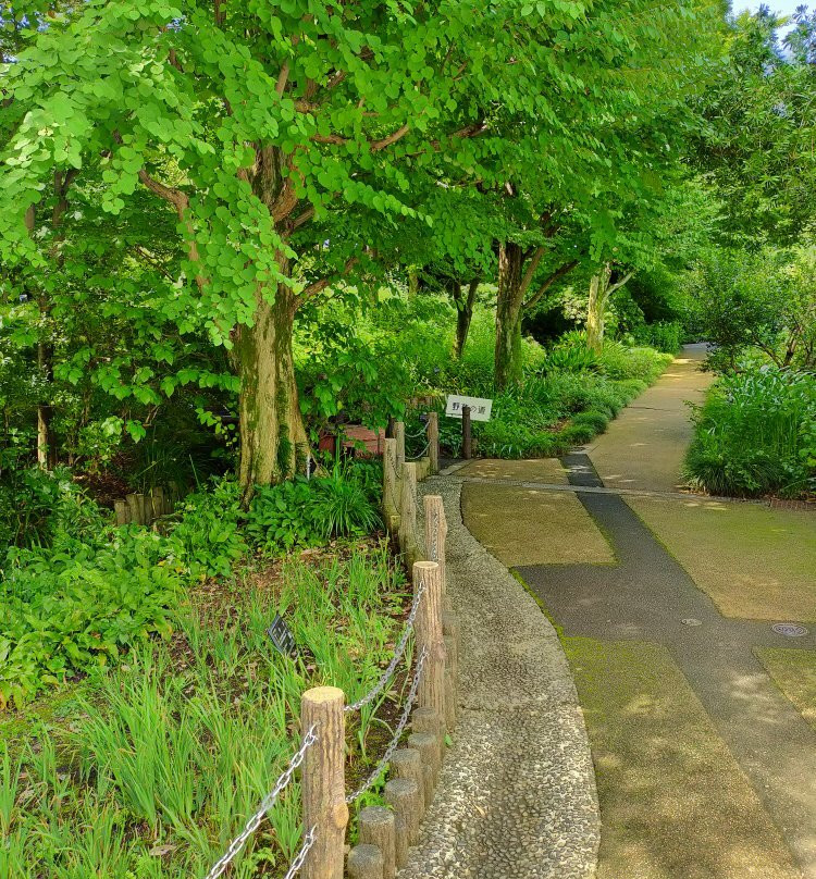 Akatsuka Botanical Gardens-板桥区必去景点
