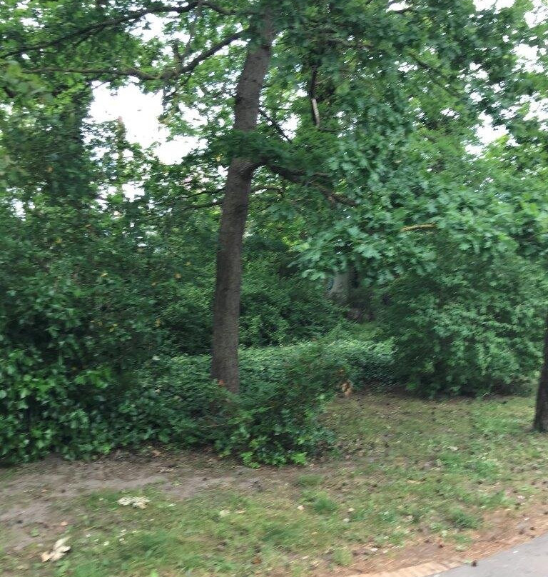 Warnemunde Kur Park-瓦勒慕必去景点