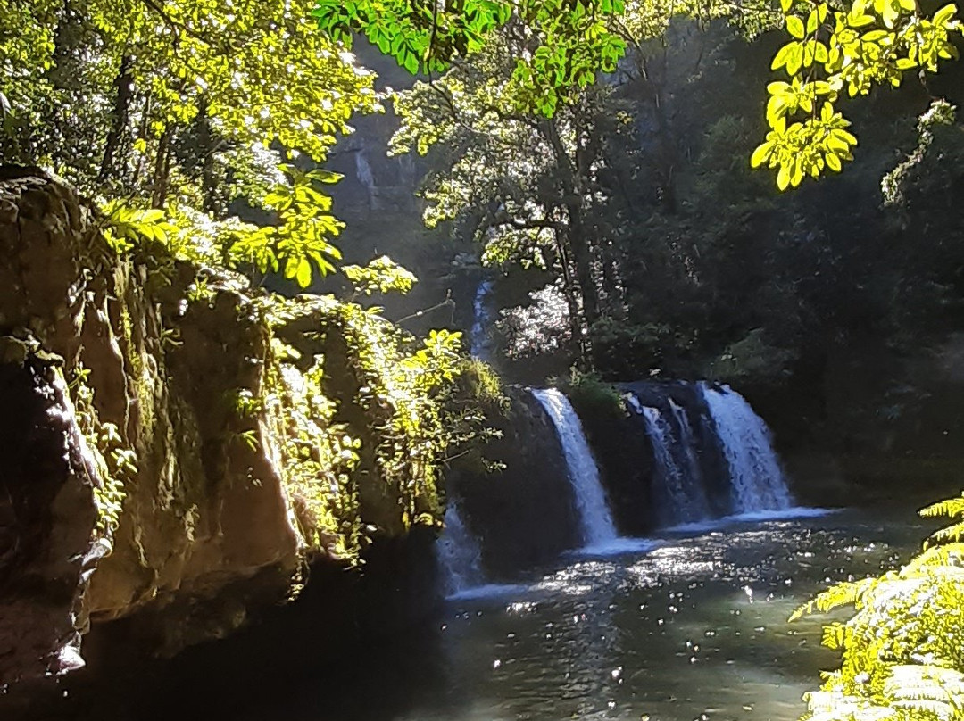 Nandroya Falls- 阿瑟顿必去景点