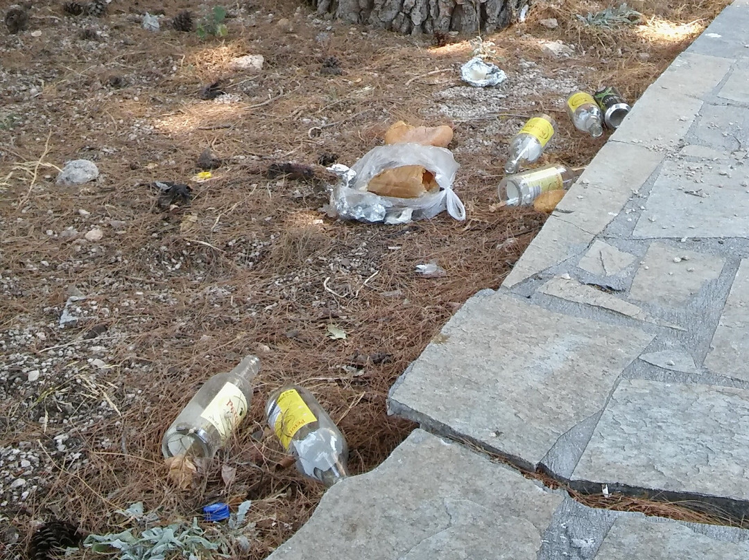 Lion of Bavaria-纳夫普利翁必去景点