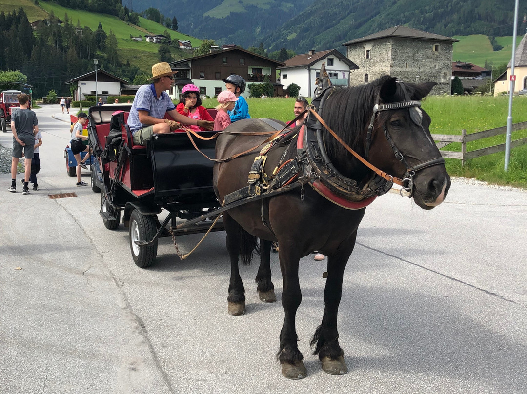 Kinderhotel Felben主图