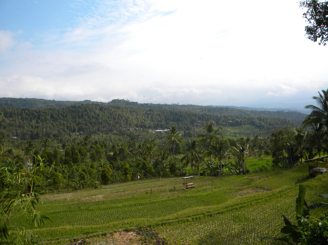 Tanah Indonesia-日惹必去景点