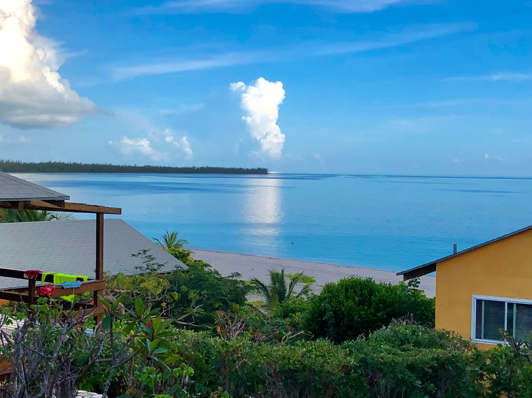 Shannas Cove Resort主图