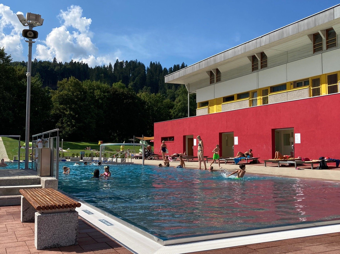 Freischwimmbad Kufstein景点图片