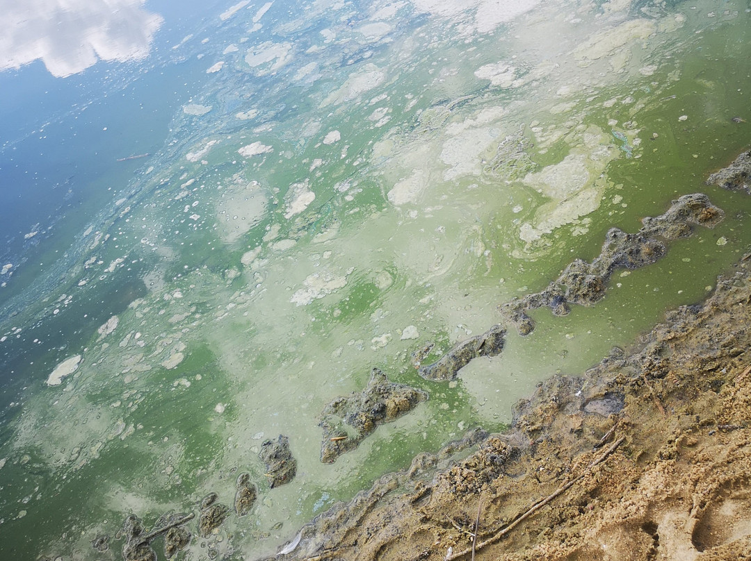 Arendsee Lake景点图片