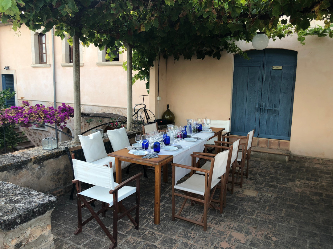 Mallorca Wine Tours景点图片