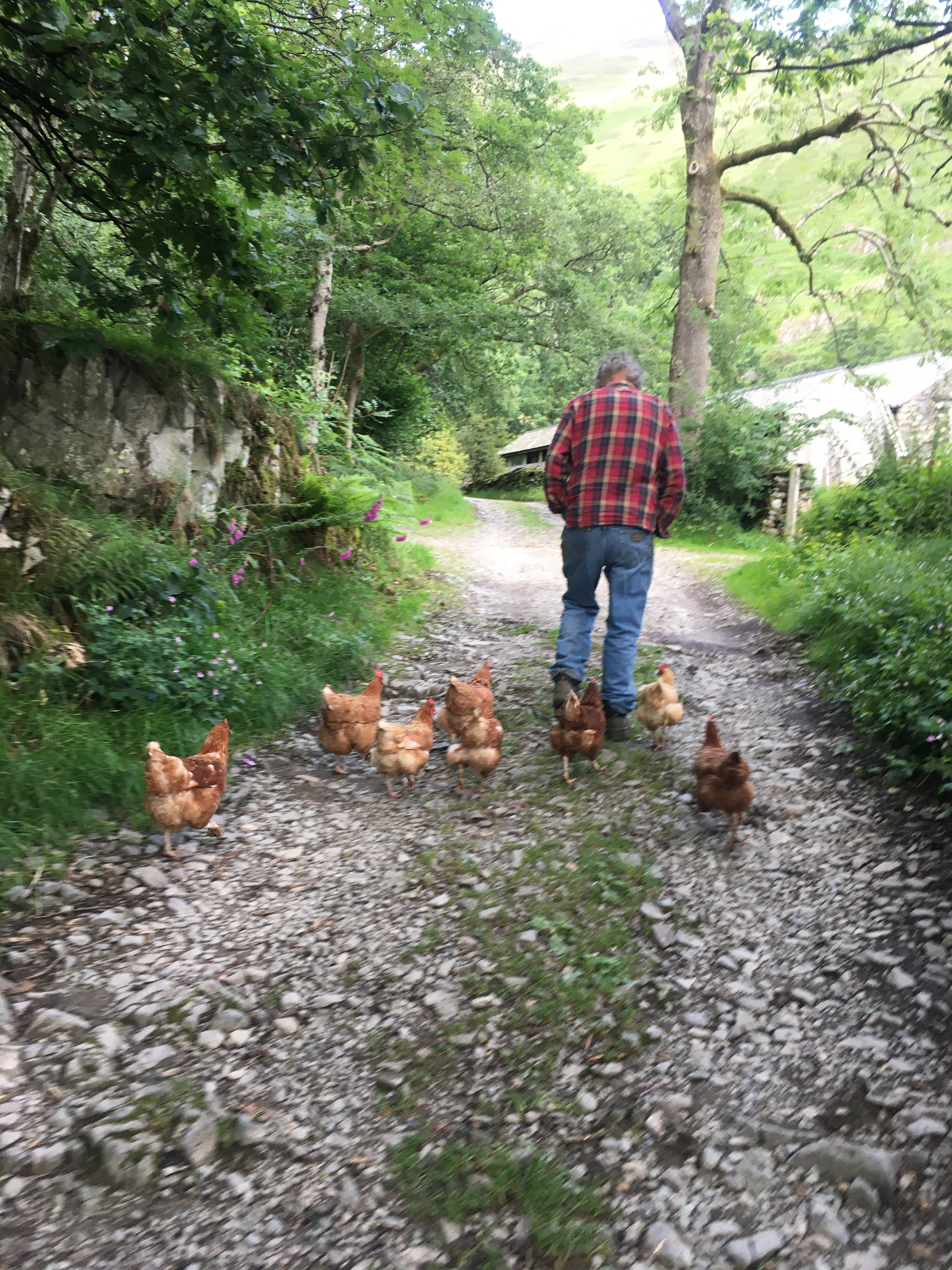 Crookabeck Bed & Breakfast-portrait