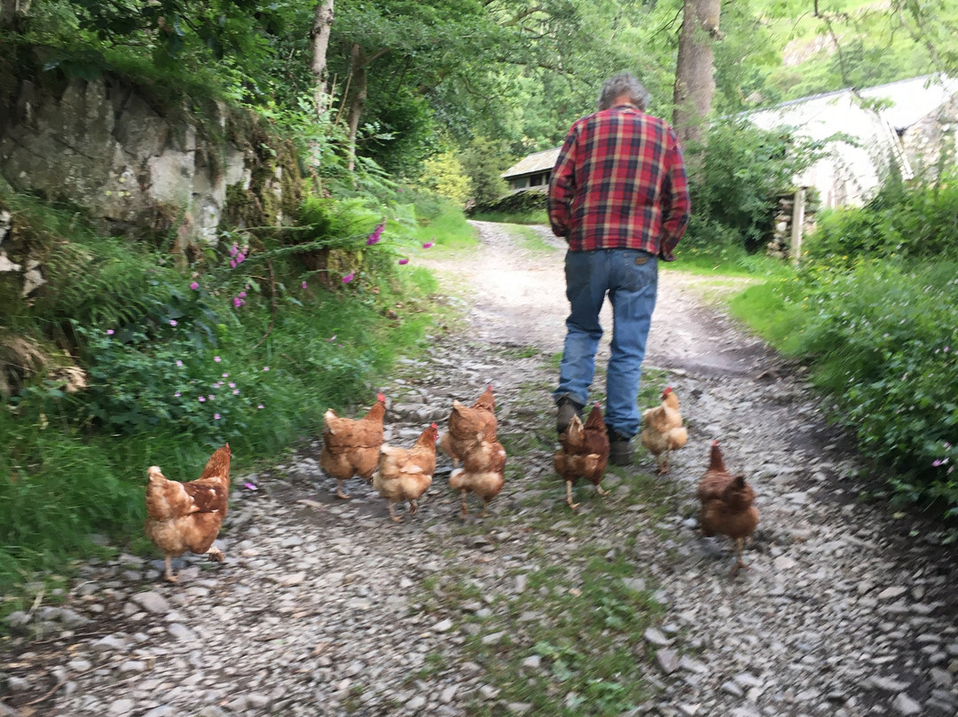 Crookabeck Bed & Breakfast主图