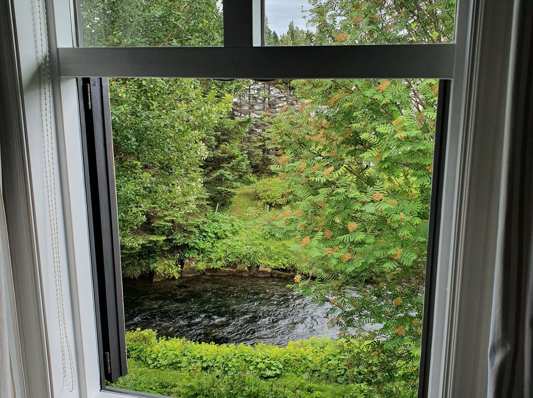 Guesthouse Arbol主图