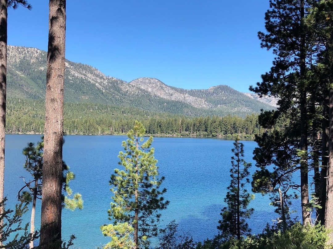 Fallen Leaf Lake Trail-南太浩湖必去景点
