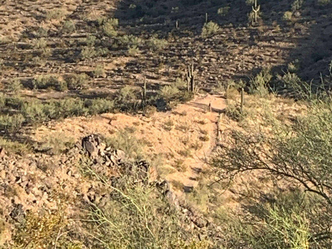 West Wing Mountain Preserve-皮奥里亚必去景点