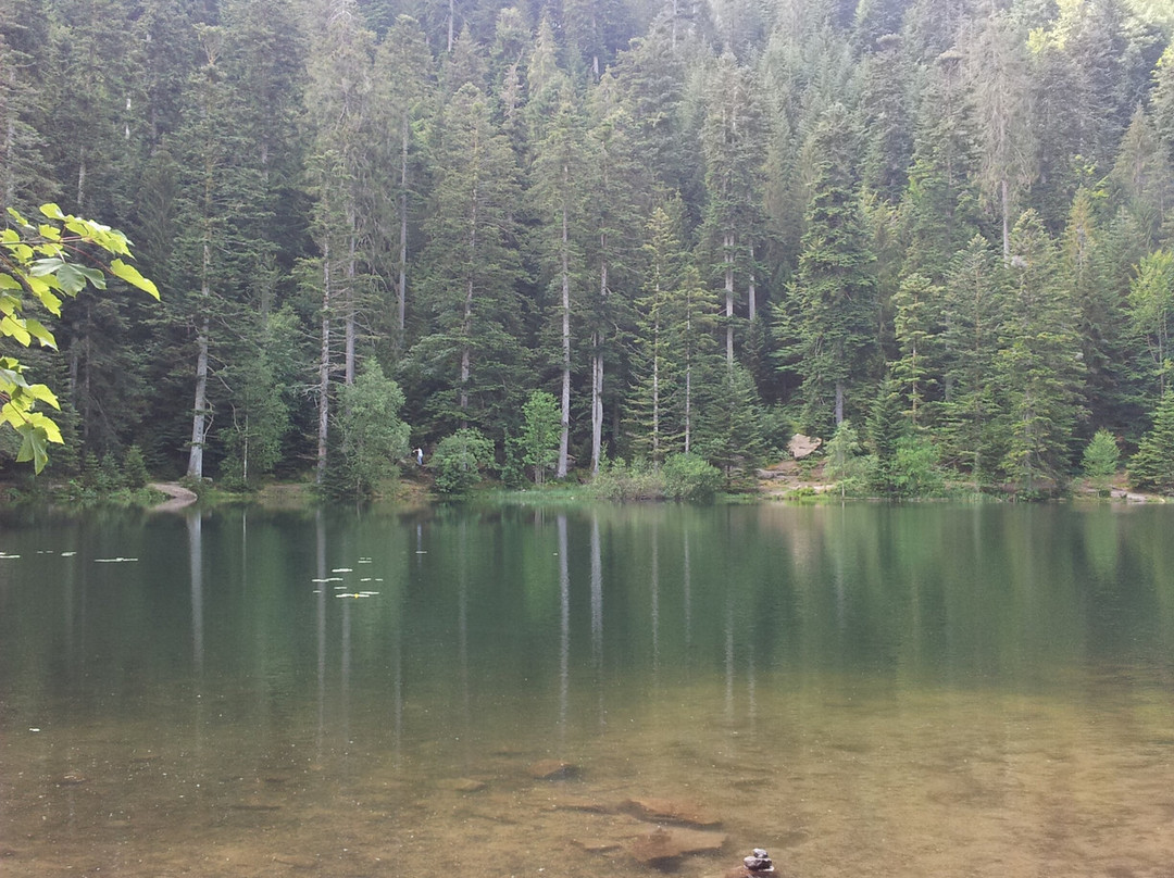 Lac de la Maix景点图片