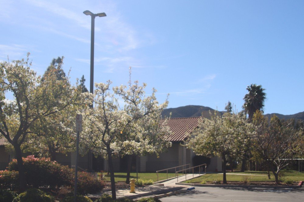 Westwind Park-安大略必去景点