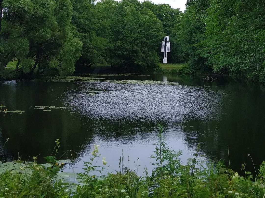 Dubki Park of Culture and Leisure景点图片